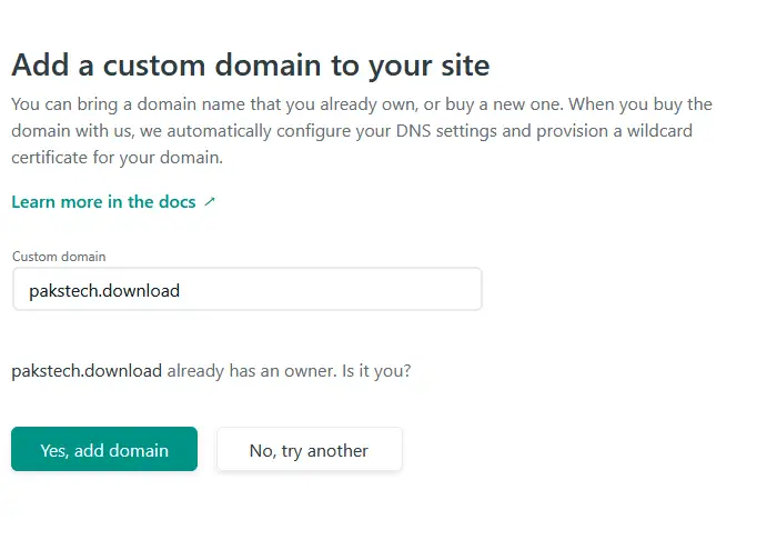 Netlify domain name